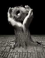 nest and hands.jpg