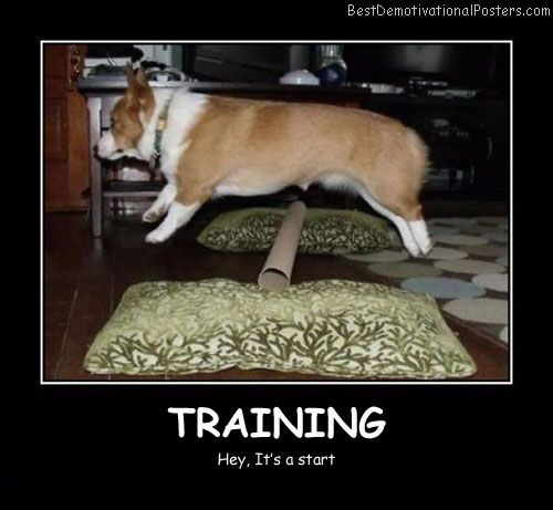 Training-A-Dog-Best-Demotivational-Posters.jpg