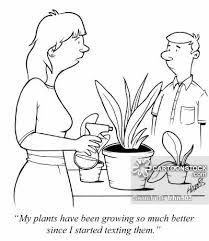 plants.jpg