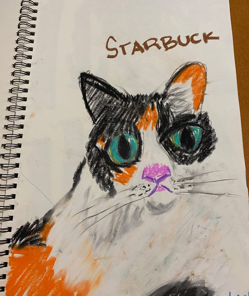 starbuckles01_cropped .jpg